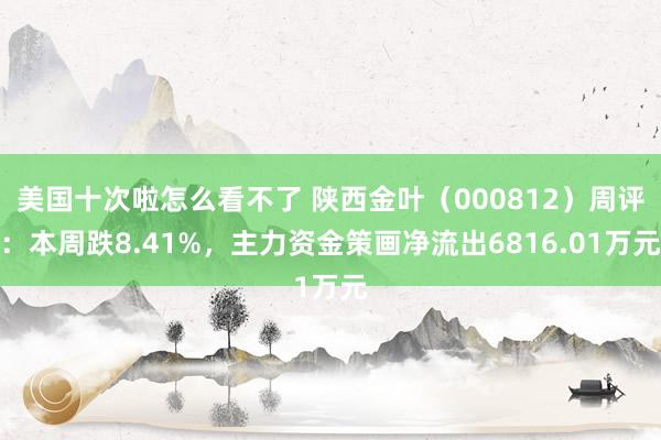 美国十次啦怎么看不了 陕西金叶（000812）周评：本周跌8.41%，主力资金策画净流出6816.01万元