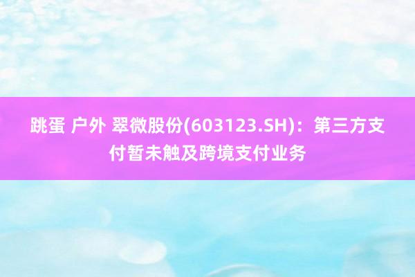 跳蛋 户外 翠微股份(603123.SH)：第三方支付暂未触及跨境支付业务