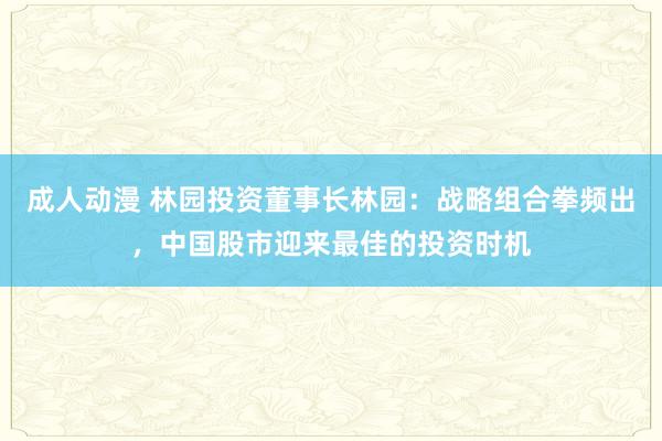 成人动漫 林园投资董事长林园：战略组合拳频出，中国股市迎来最佳的投资时机