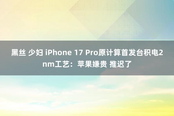 黑丝 少妇 iPhone 17 Pro原计算首发台积电2nm工艺：苹果嫌贵 推迟了