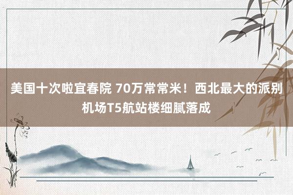 美国十次啦宜春院 70万常常米！西北最大的派别机场T5航站楼细腻落成