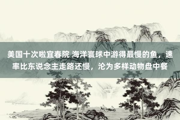 美国十次啦宜春院 海洋寰球中游得最慢的鱼，速率比东说念主走路还慢，沦为多样动物盘中餐