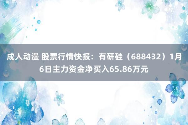 成人动漫 股票行情快报：有研硅（688432）1月6日主力资金净买入65.86万元