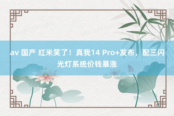 av 国产 红米笑了！真我14 Pro+发布，配三闪光灯系统价钱暴涨