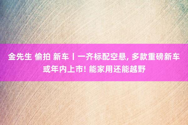 金先生 偷拍 新车丨一齐标配空悬， 多款重磅新车或年内上市! 能家用还能越野