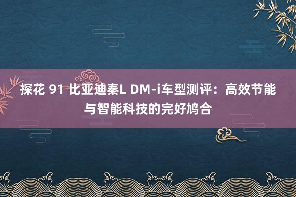 探花 91 比亚迪秦L DM-i车型测评：高效节能与智能科技的完好鸠合