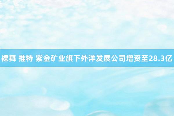 裸舞 推特 紫金矿业旗下外洋发展公司增资至28.3亿