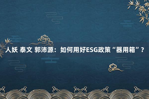 人妖 泰文 郭沛源：如何用好ESG政策“器用箱”？