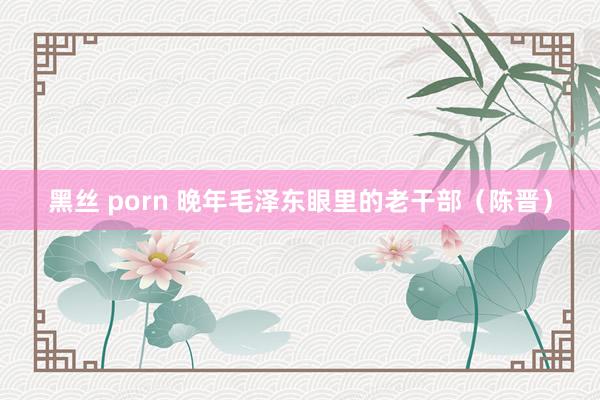 黑丝 porn 晚年毛泽东眼里的老干部（陈晋）