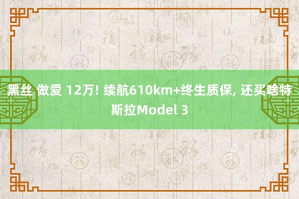 黑丝 做爱 12万! 续航610km+终生质保， 还买啥特斯拉Model 3