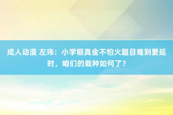 成人动漫 左玮：小学锻真金不怕火题目难到要延时，咱们的栽种如何了？