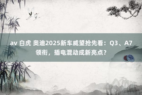 av 白虎 奥迪2025新车威望抢先看：Q3、A7领衔，插电混动成新亮点？