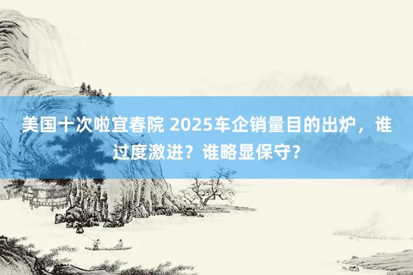 美国十次啦宜春院 2025车企销量目的出炉，谁过度激进？谁略显保守？