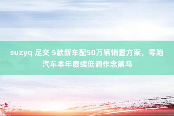 suzyq 足交 5款新车配50万辆销量方案，零跑汽车本年赓续低调作念黑马