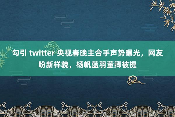 勾引 twitter 央视春晚主合手声势曝光，网友盼新样貌，杨帆蓝羽董卿被提