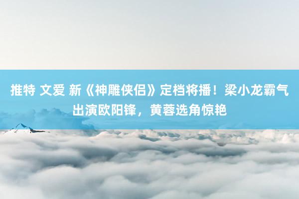 推特 文爱 新《神雕侠侣》定档将播！梁小龙霸气出演欧阳锋，黄蓉选角惊艳